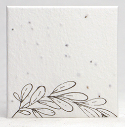 sketch square seed paper tags